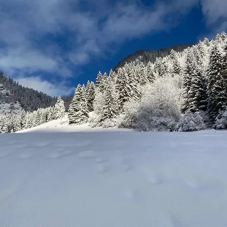 Appartamento Avec Parking *