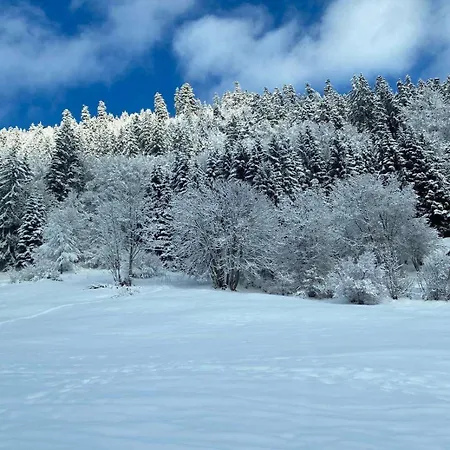 Avec Parking Appartamento