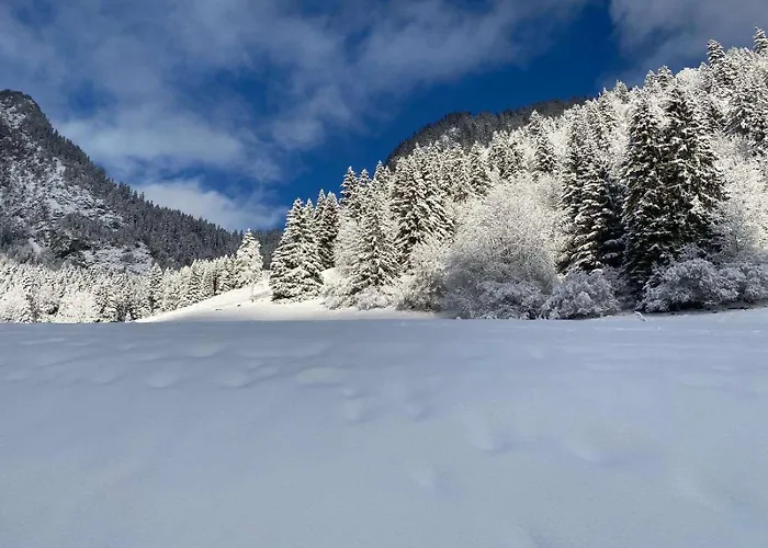 公寓 Avec Parking *