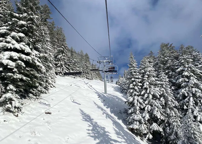 Avec Parking 公寓 Vionnaz