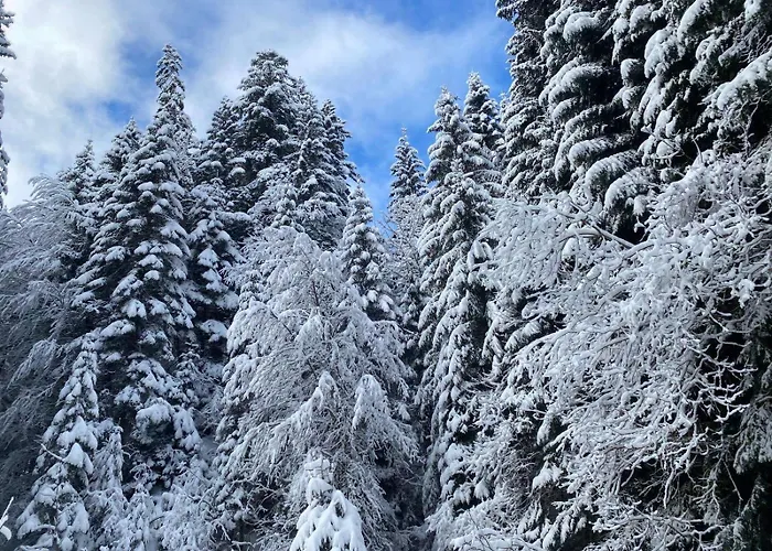 Avec Parking Apartman *