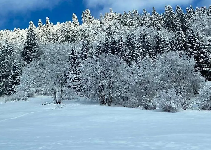 Avec Parking Apartman