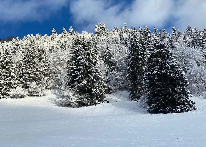 Avec Parking Vionnaz