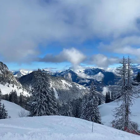 Apartamento Avec Parking