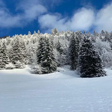 Avec Parking Vionnaz
